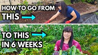 How To Plant A Raised Garden Bed: Step-By-Step With Before & After