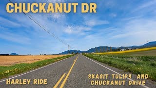 Harley Ride  Pioneer Hwy through Skagit tulips to Chuckanut Dr