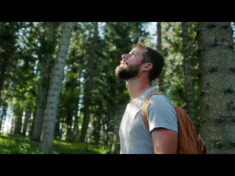 Mustafa ŠIRBIĆ; Neka od pravila (Bog, čovjek i tišina)