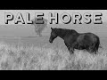 Pale Horse Dan Taveras