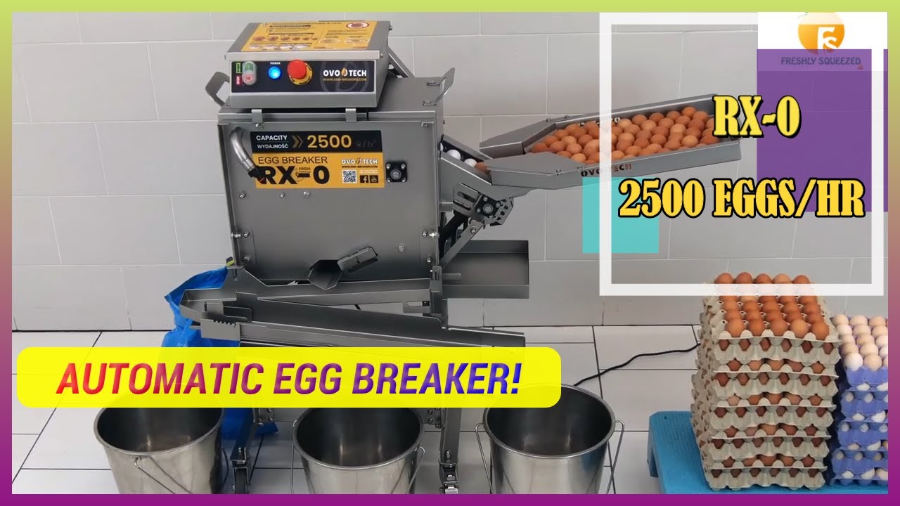 RX-0 Egg Breaker Cracker 2500 eggs/hr by Ovo-Tech. Official Distributor
