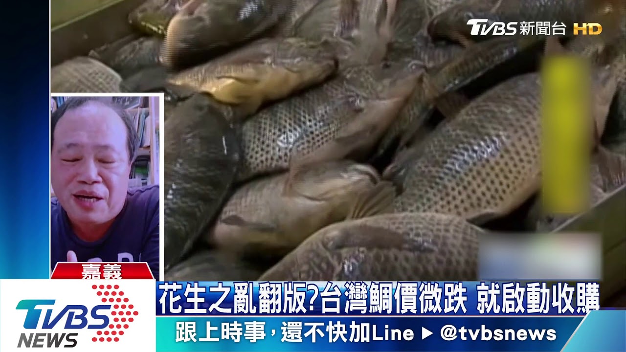 花生之亂翻版?台灣鯛價微跌 就啟動收購