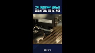 고작 28분에 500억 날렸는데 #shorts