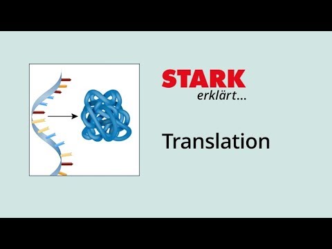 Translation (Protein Biosynthesis) | STARK Explains