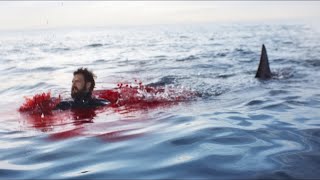 Mergulhador decapitado por enorme tubarão branco