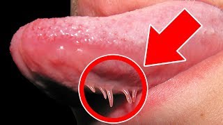 QUÉ ES ESTO QUE HAY EN LA LENGUA y cómo hacer Gleeking Challenge