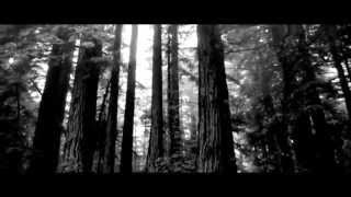 The Blue Angel Lounge - Woods (Sea Of Trees) video