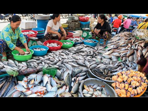 Unbelievable! Cambodia’s Largest Fish Distribution - Market Life & Daily Hustle