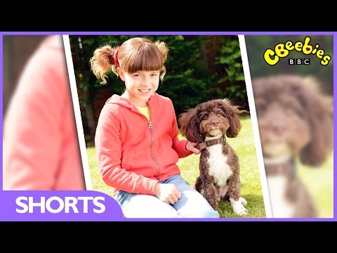 CBeebies -  Topsy meets DIY Derek's dog - Series 3