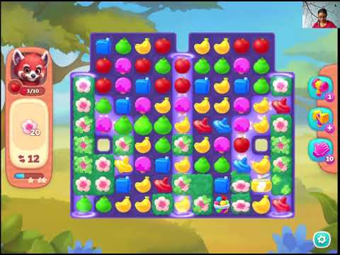 Wildscapes Level 300