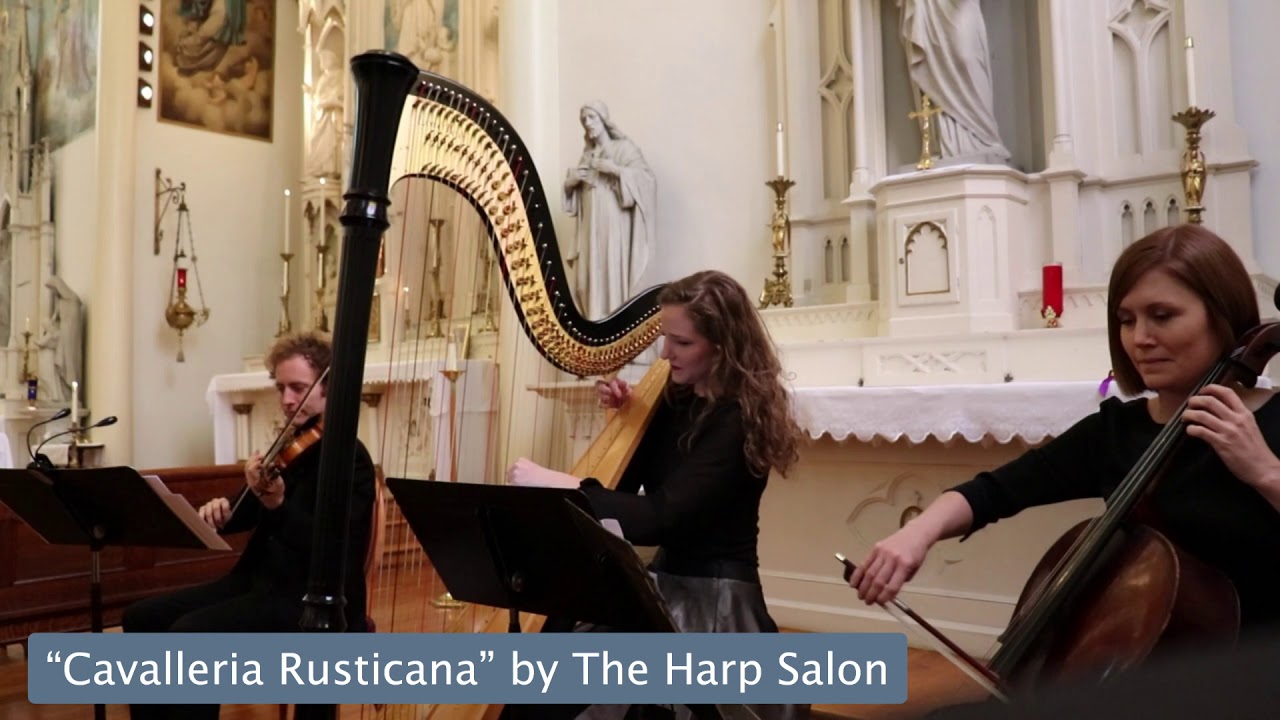 Promotional video thumbnail 5 for Nashville Harp