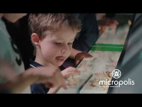 Micropolis, la cité des insectes est un parc dédié au monde des insectes et de la nature situé sur le Lévézou, à Saint-Léons, dans le département de l'Aveyron. Partez pour une journée exceptionnelle en famille  à la découverte des insectes, de la nature et de la biodiversité ! , 