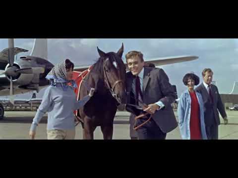 BILLY FURY - I LIKE ANIMALS 'REPRISE'