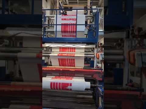 Filippini & Paganini 1600 P240906069