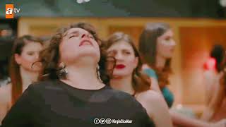 Ömer Faruk bostan erik dalı