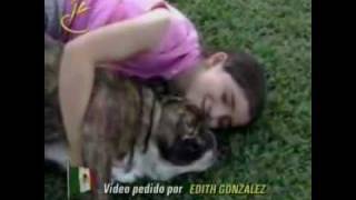 Gloria Estefan - Sueño (Para Noelle)