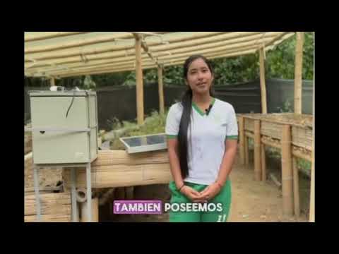 INNOVANDO DESDE LA AGROECOLOGÍA CON LA CIENCIA Y LA TECNOLOGÍA