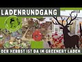 Autumnal Shop Tour At Mrs Greenery