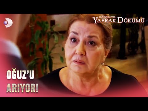 Hayriye, Oğuz'u Bulamıyor! - Yaprak Dökümü 166. Bölüm