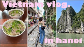 Vietnam vlog |カップルで行く詰め込みベトナム・ハノイ旅行🇻🇳ローカルフード|ハロン湾|世界遺産巡り