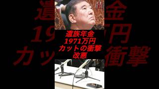 遺族年金、1971万円カットの衝撃改悪 #政治 #税金 #自民党 #石破 #遺族年金
