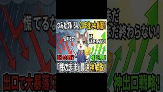 【つみたてNISA】20年後に暴落したらどうする？投資ネコが教える「株のまま待つ」最強の出口戦略