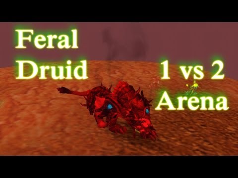 WOW PVP Feral Druid 1 VS 2 Arena