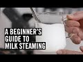 Everything You Need To Know To Steam Great Milk