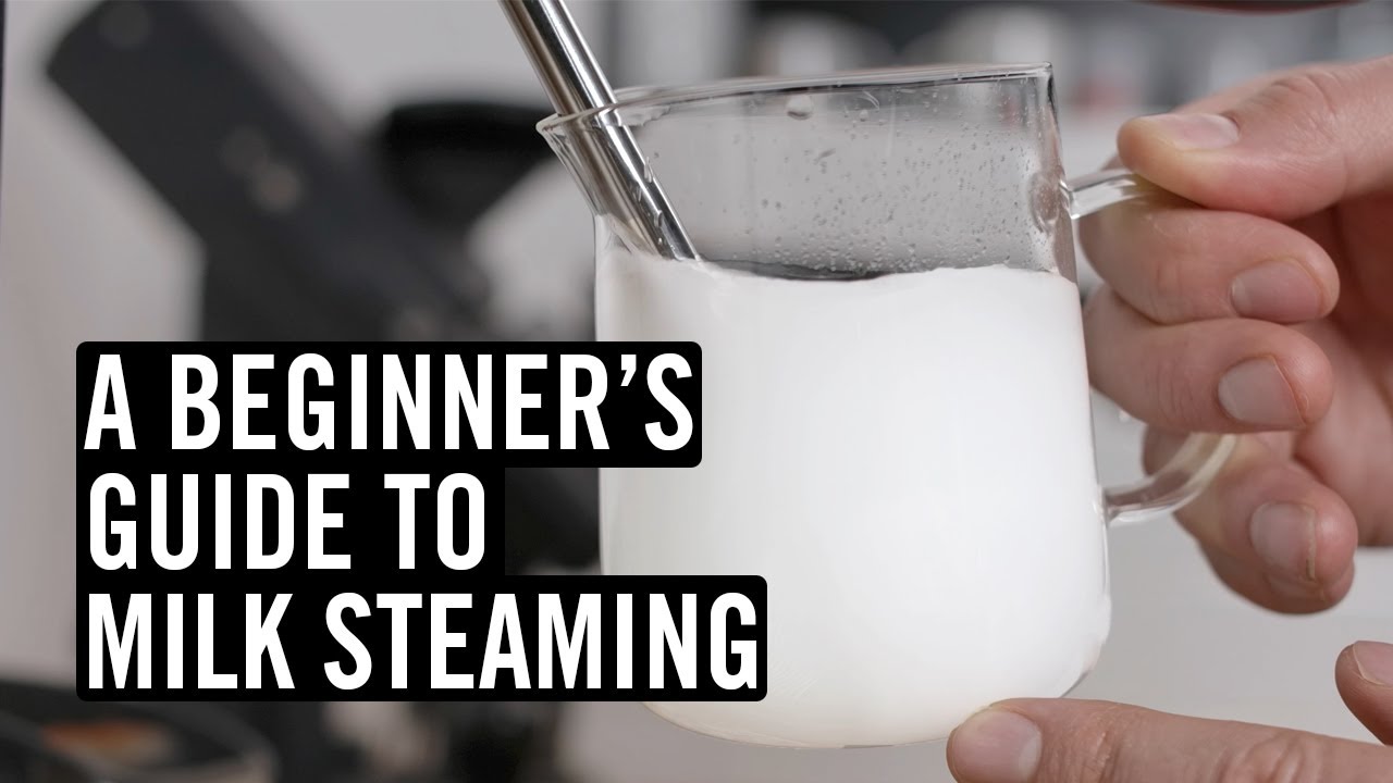 Watch video Everything You Need To Know To Steam Great Milk Now Everything You Need To Know To Steam Great Milk