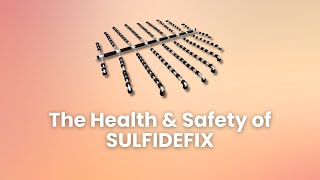 Improving Health and Safety with SulfideFix