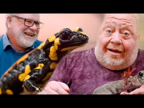 Ein Tier das einen ein Menschenleben begeistert! FEUERSALAMANDER I NORBERTS GESCHICHTE | Teil 7