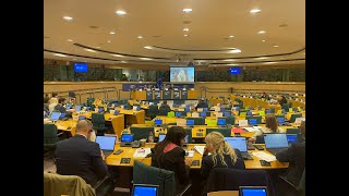 Explained: My Petition to the European Commission regarding the EU - I