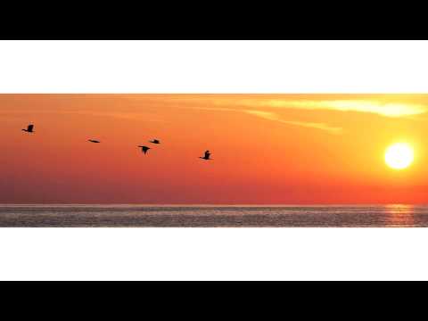 Milenita - Vuelve a mí