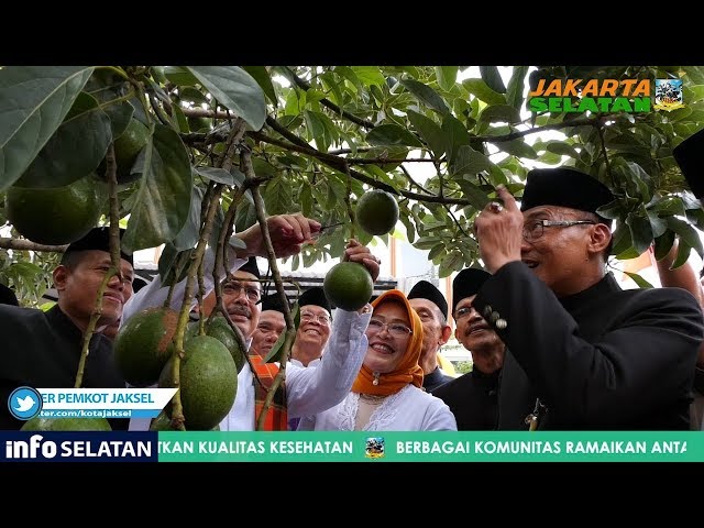 Wali Kota Jaksel Ngalap Alpukat Cipedak