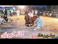 Ghoda Kulla | Horse dance | Rord | mela peer shah | Haji Anwar kharal | -62