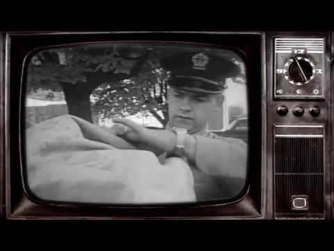 100 ja Seened -  POSTIMEES