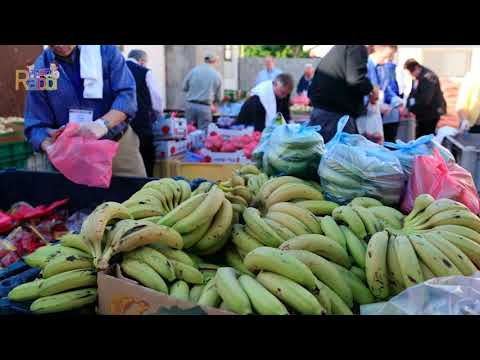 Mon Rabbi 174 - Arroser les graines | Leçon de vie