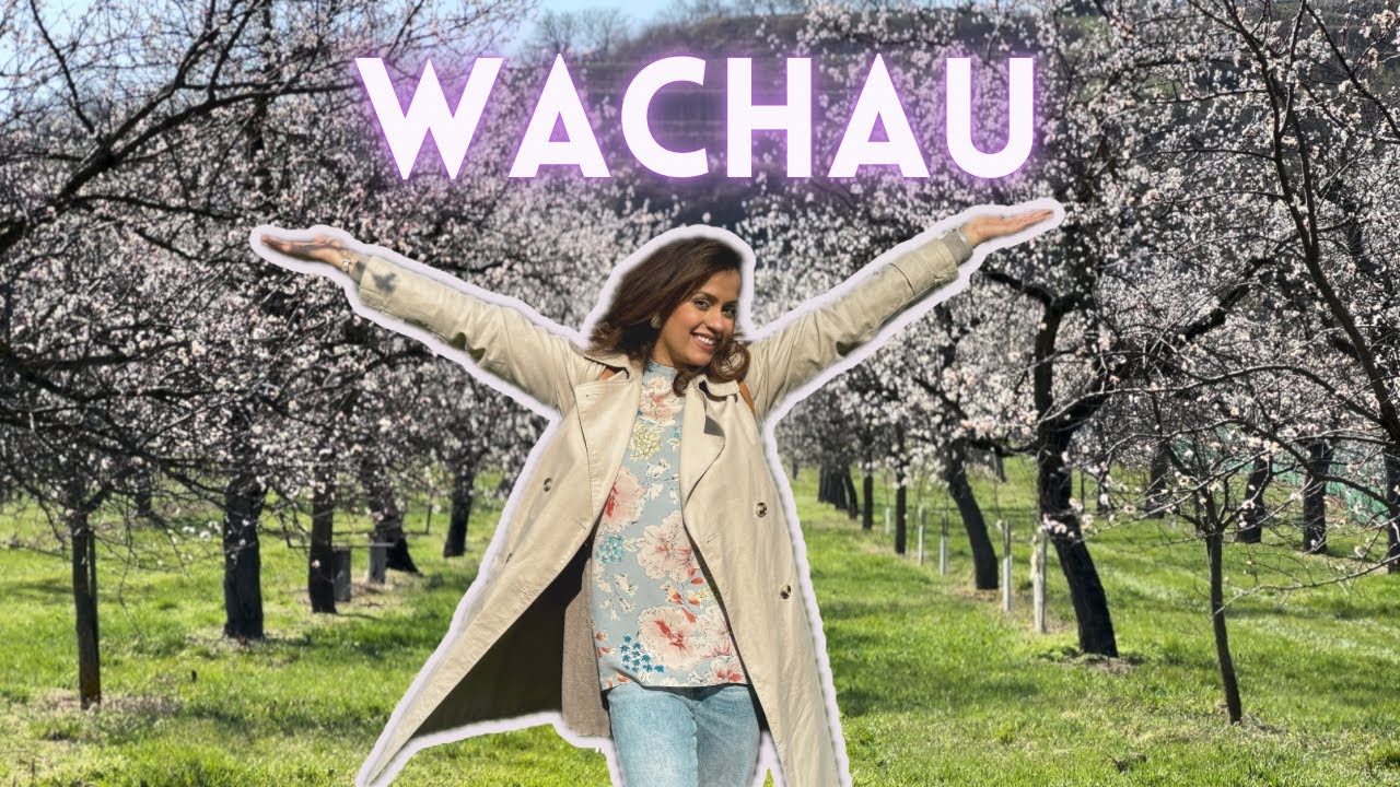Join travelers on a day trip to Wachau Valley.