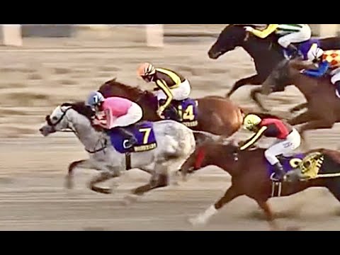 Mondo Galoppo – MIRCOSAN