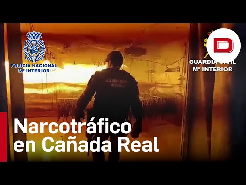 Caen cuatro clanes familiares de la Cañada Real por tráfico de drogas