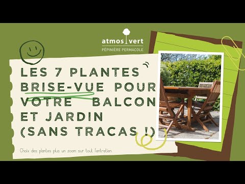 , title : '7 plantes brise-vue pour des petits espaces extérieures (terrasse, balcon et petit jardin)'