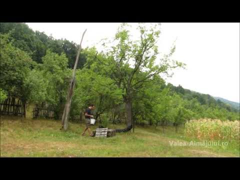 Fintina cu cumpana in Valea Almajului