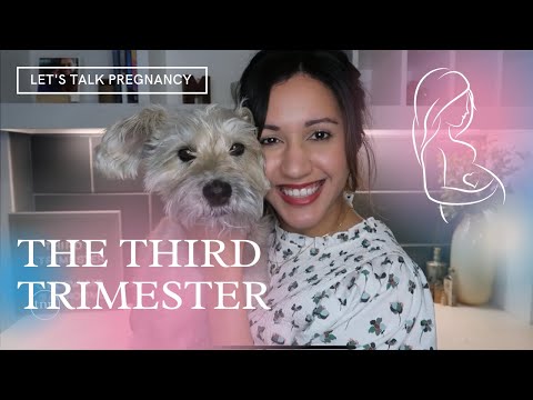 The Third Trimester | Explained by an OBGYN