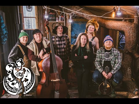 I Surrender - Steve'n'Seagulls feat. Timo Kotipelto