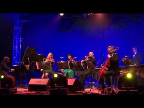 Gregor Schwellenbach - part 8 - Tauron Nowa Muzyka 2013 - Katowice