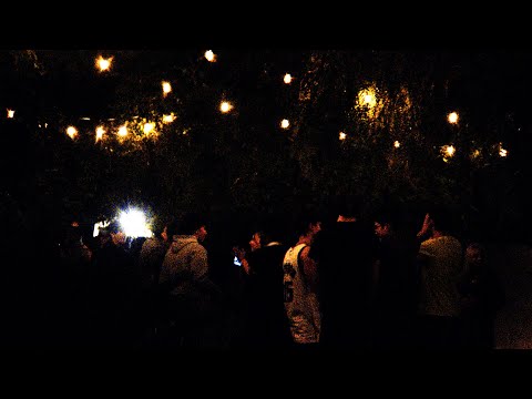 MattN - We Don't Feel Pain (Official Visualizer)