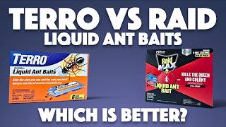 Terro vs Raid Liquid Ant Baits - Which is Better