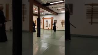 Vanessa Chase: Aikido Master!