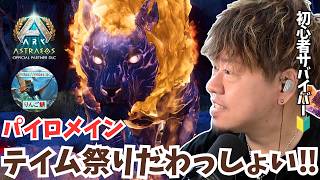 【ARK/ASA】ボス戦に向けた準備開始！ドラゴンに有効な「パイロメイン」を絶対テイムするサバイバル！【アドバイス大募集】【非公式PvE/アストレオス】【PS5】【りんご鯖】