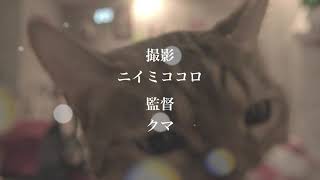 9DayzGlitchClubTokyo“Helter Skelter Switch” MusicVideo